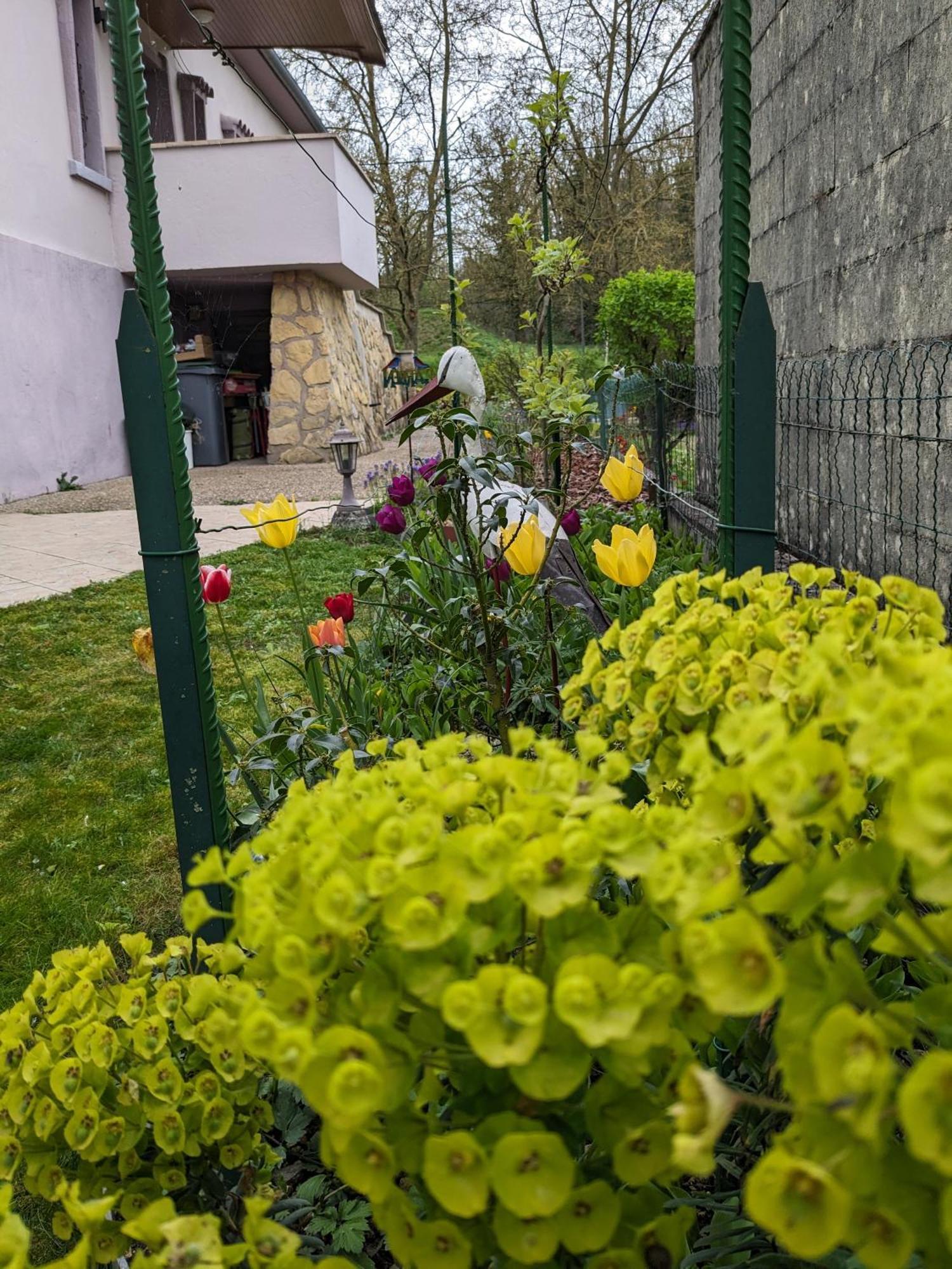 Villa Chantal Verdun Exterior foto